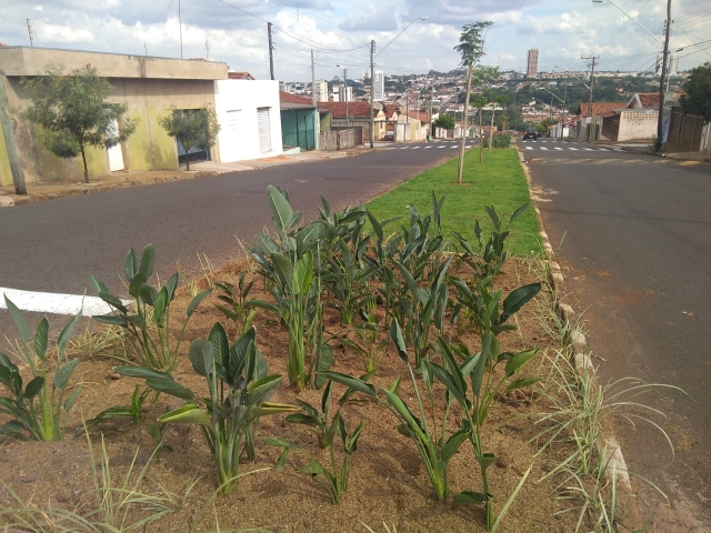 O projeto buscou favorecer a arborização urbana, com plantio de 21 árvores da espécie Sibipiruna