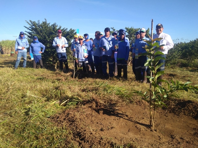 A ação contou com a participação de colaboradores da Agrícola Rio Claro