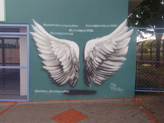 Projeto com estilo e cores foi realizado pelo artista e grafiteiro lençoense Cristiano Paccola