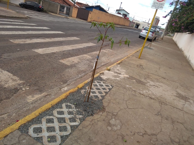 O espaço tem por finalidade melhorar as condições na base da planta