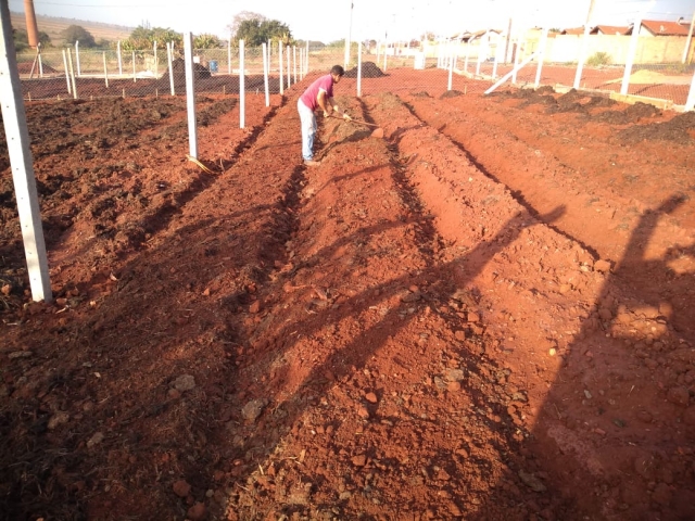 Horta comunitária desenvolvida recentemente no Jardim Carolina