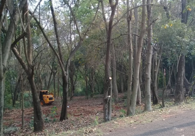 O serviço tem por objetivo melhorar a visibilidade da área