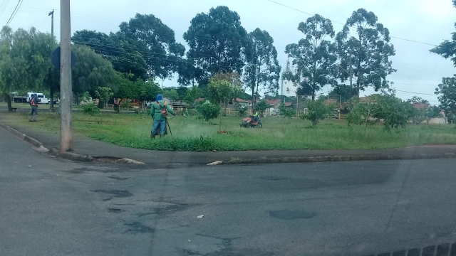 Assim como outros implantados no mesmo período, o pomar do núcleo já tem espécies produzindo