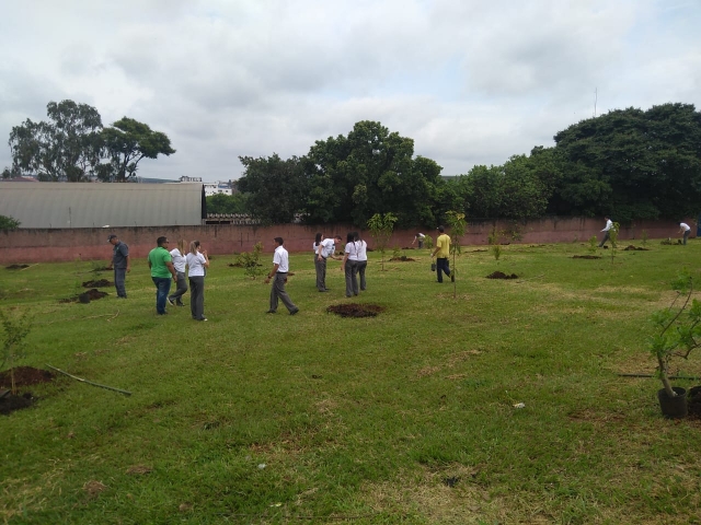 Equipe da Unimed juntou-se a servidores da SAMA para o plantio de 42 espécies frutíferas