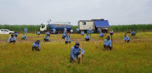 Colaboradores prepararam os “berços” das mudas e realizaram o plantio de 250 novas mudas nativas