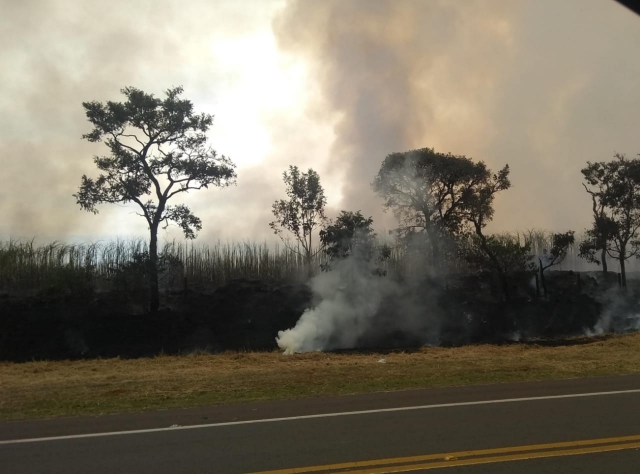 Incêndios em áreas limítrofes devem ser informados ao Corpo de Bombeiros pelo telefone 193