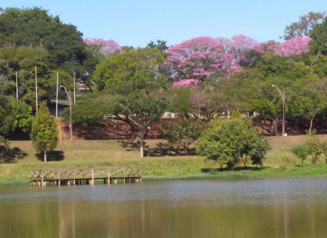Lençóis Paulista conta com regiões favorecidas na questão da arborização, como o Parque do Povo