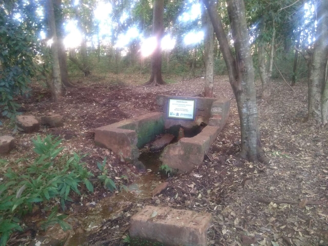 Neste período de pandemia as visitas à nascente modelo estão suspensas pela SAMA