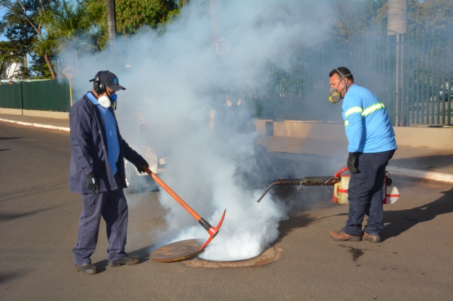 Nova etapa do controle de pragas teve início nesta segunda-feira, em vias do Jardim das Nações
