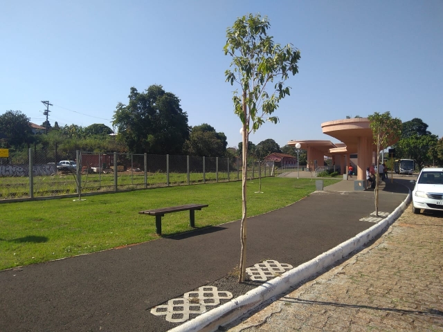Mudas de oitis foram plantadas ao lado do novo Terminal Rodoviário Interbairros “Itagiba Mourão”