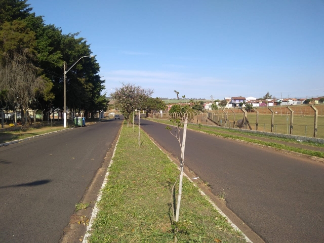 Piloto de Floresta Urbana na Av. Nações Unidas, Núcleo Habitacional Luiz Zillo