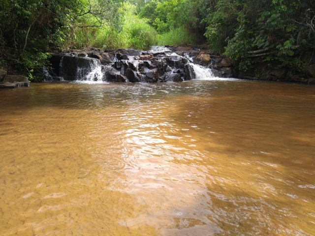 Palestra da SAMA aborda o “Contexto geral do Dia da Água e foco na preservação de nascentes”