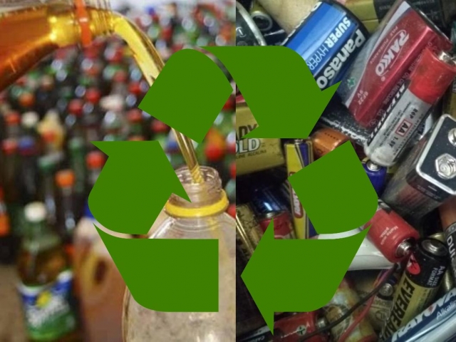 Iniciativas integram calendário de ações ambientais no mês de junho