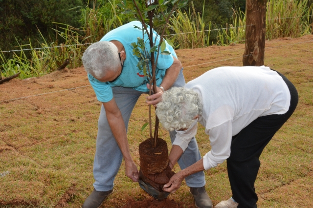 Plantio de mudas envolveu moradores do Jardim Primavera