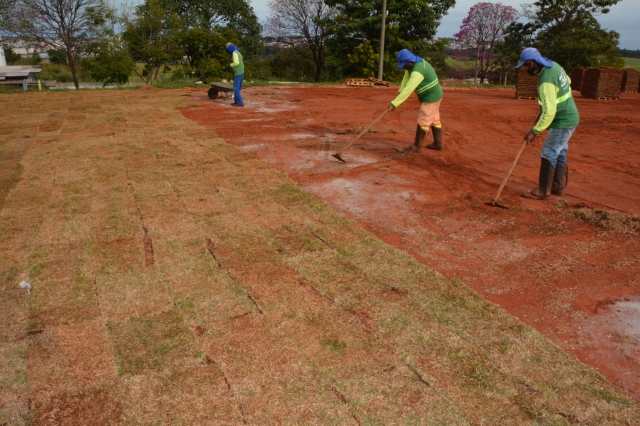 Campo de futebol recebeu neste semana 1,5 mil metros de grama da Espécie Esmeralda