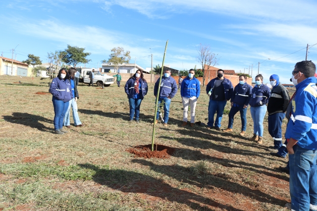 70 árvores, a maioria frutíferas, foram plantadas em área verde no Grajaú