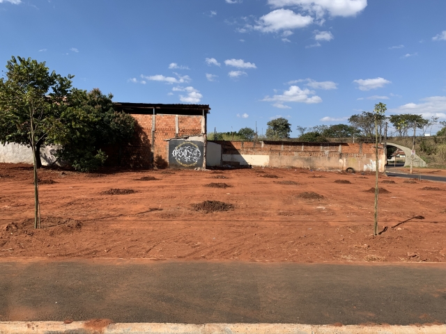 Áreas de demolição na Contente viraram pomar comunitário