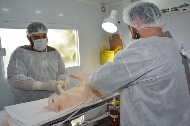 Cadastro vai atender tutores de animais que residem no Santa Terezinha