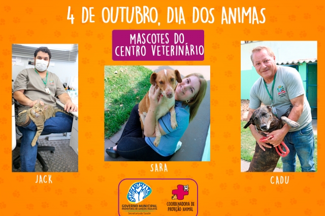 Animais resgatados hoje vivem no Centro de Atendimento Veterinário, onde recebem muito amor
