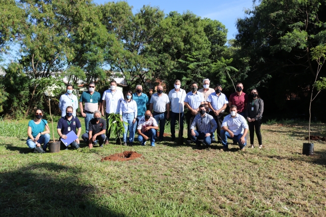 Plantio envolveu servidores públicos, moradores da região e representantes da sociedade civil