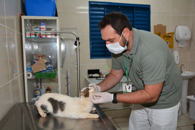 Na foto, o servidor e veterinário Ighor Godoy Morales durante consulta no Centro Municipal de Atendimento Veterinário Ana Gabriela Toniolo