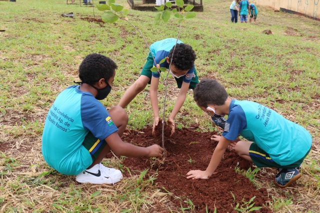 Educação ambiental e plantio serão atividades pelo Dia da Árvore