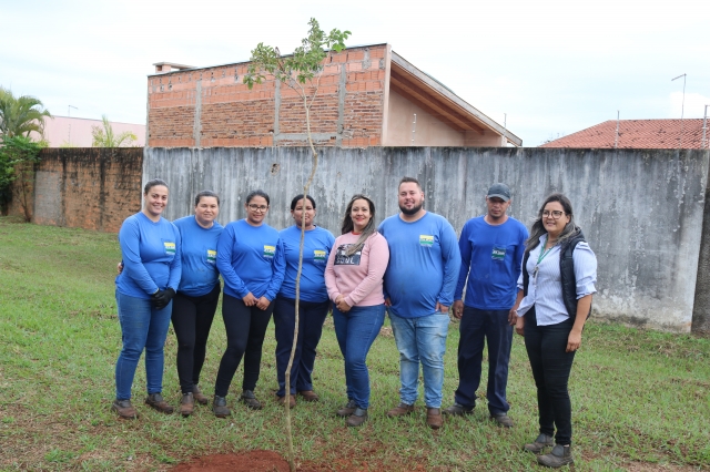 Equipe da SAMA realizou o plantio