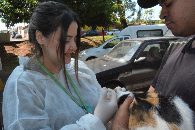 Vacinação será realizada no sábado, 23, no Centro de Atendimento Veterinário Ana Gabriela Toniolo