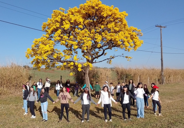 Ações educativas de setembro incluem preservação da vegetação nativa e mata ciliar