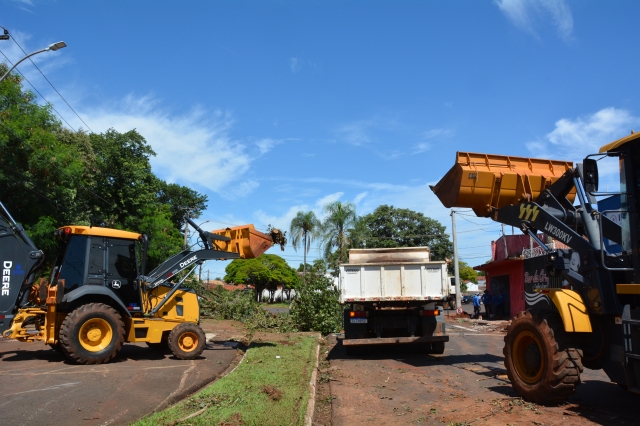 Temporal causou muitos estragos pela cidade