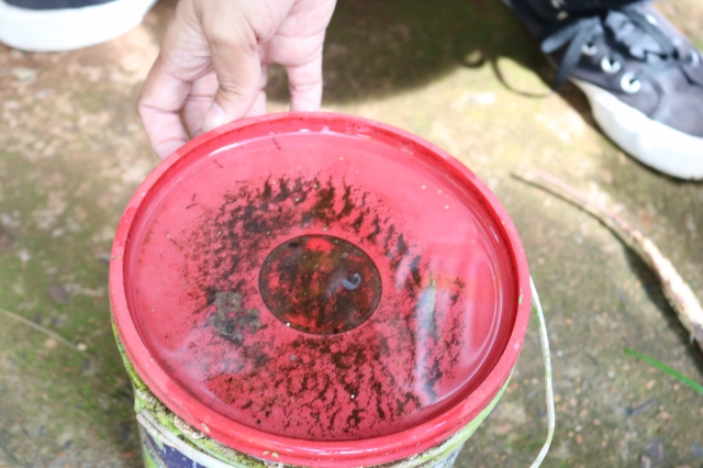 Decreto intensifica ações contra a dengue