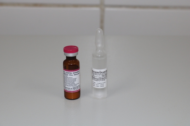Vacinação em dia é importante para prevenir o sarampo