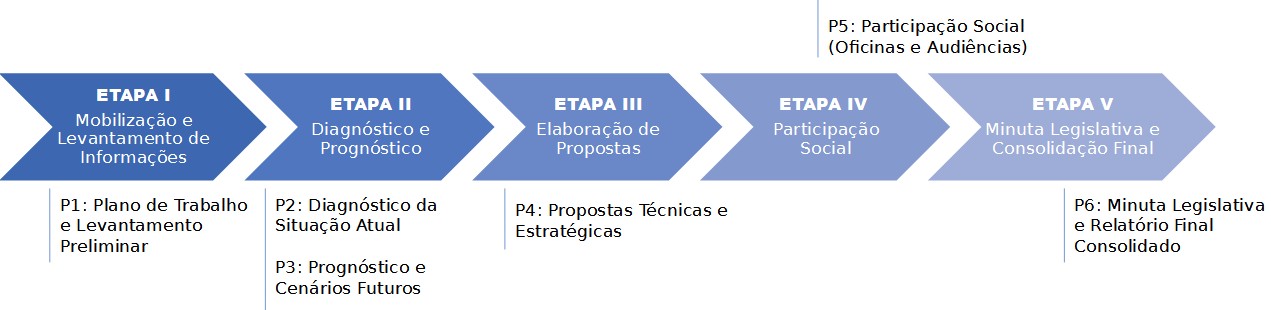 ETAPAS DO PROCESSO DE REVISÃO