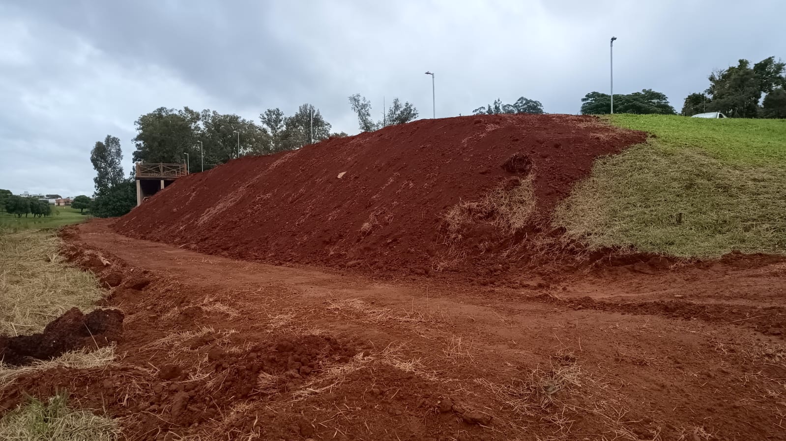 Local onde será realizado o plantio de Araucárias